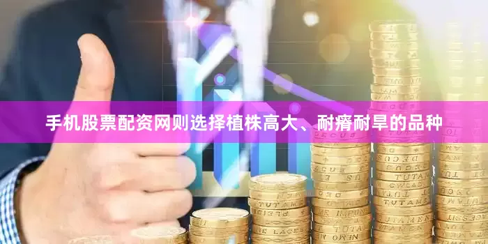 手机股票配资网则选择植株高大、耐瘠耐旱的品种