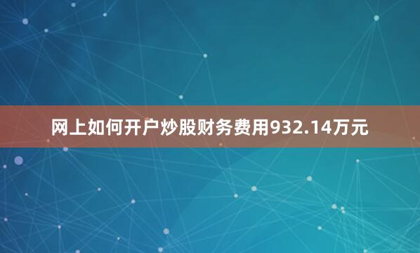 网上如何开户炒股财务费用932.14万元