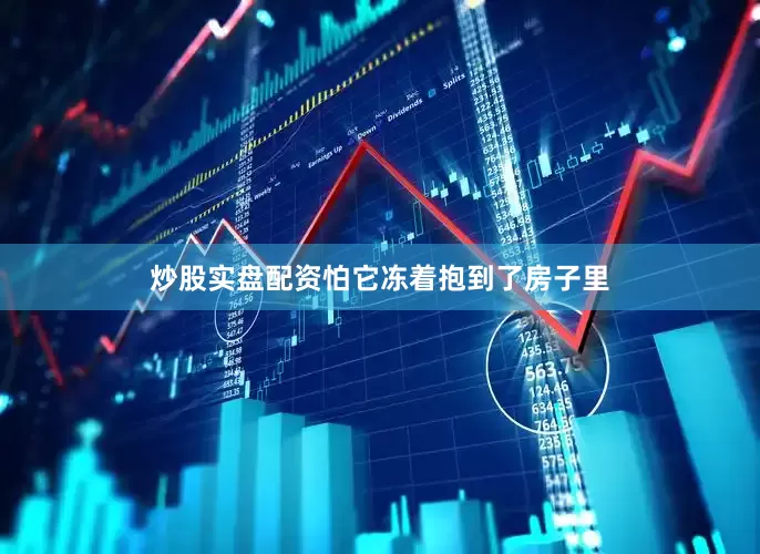 炒股实盘配资怕它冻着抱到了房子里