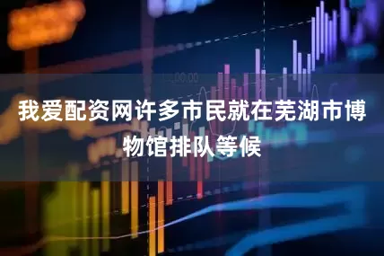 我爱配资网许多市民就在芜湖市博物馆排队等候